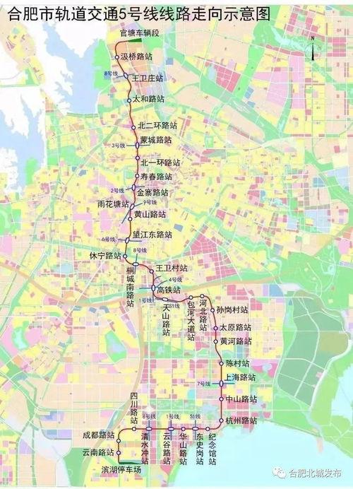 22号蛋仔最新爆料图片,神秘角色登场，游戏世界再掀波澜！  第2张