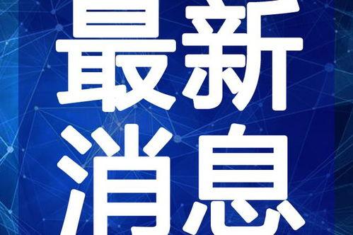 宠物女娲爆料视频大全最新
